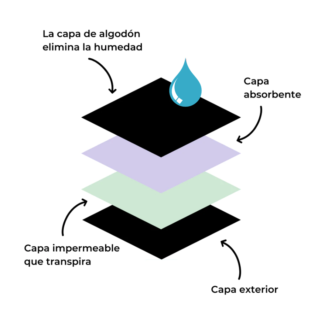 Braga Absorbente Para La Incontinencia Urinaria (OFERTA 3x1)